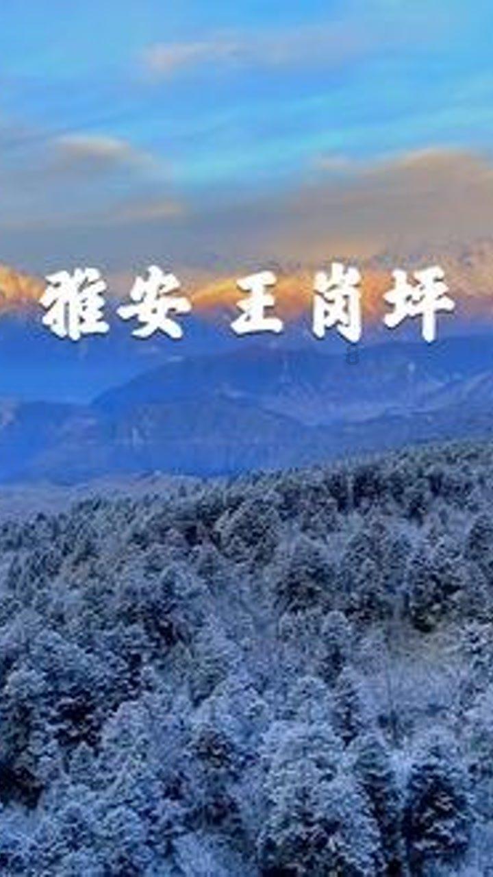 嘉日单词